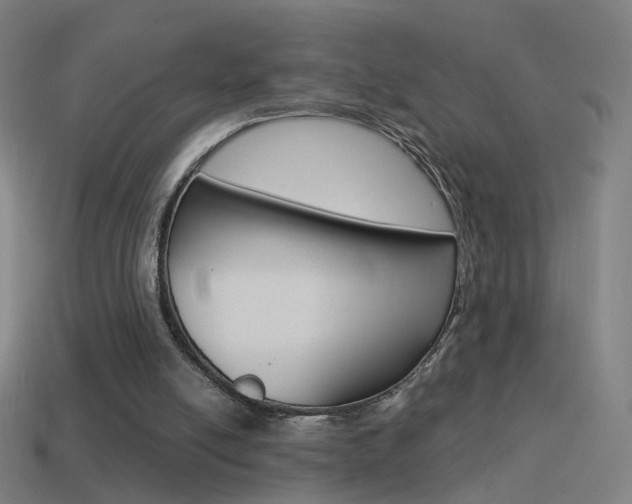X0000114520054200910190958
