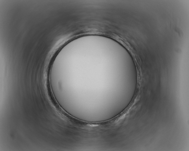 X0000114520055200910190958