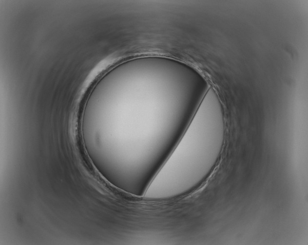 X0000114520056200910190958