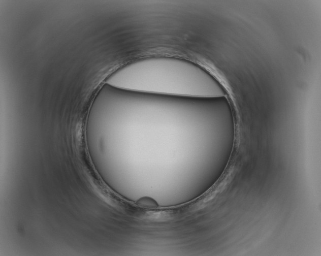 X0000114520057200910190958