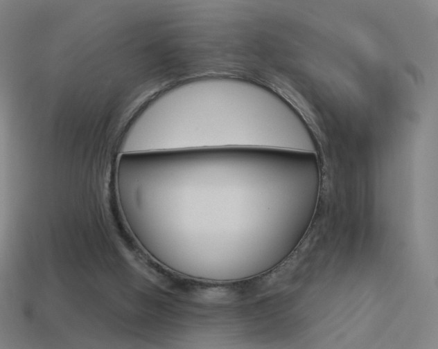 X0000114520058200910190958