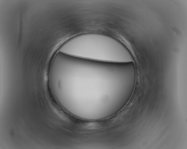 X0000114520059200910190958