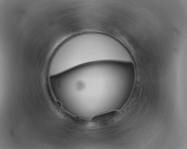 X0000114520060200910190958