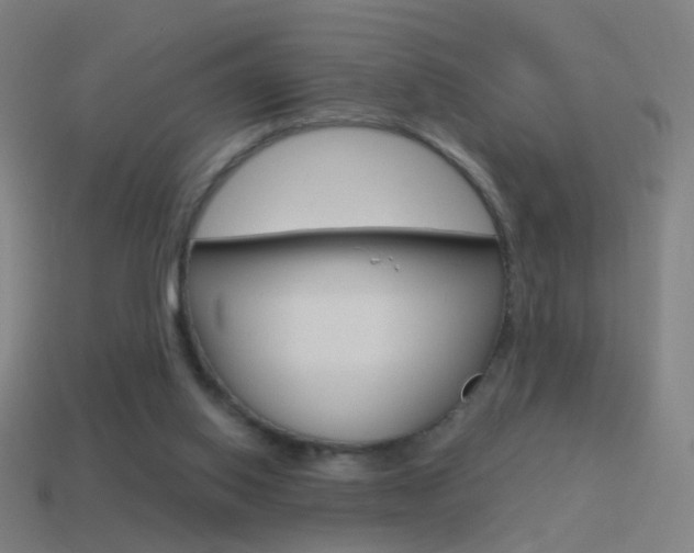 X0000114520062200910190958