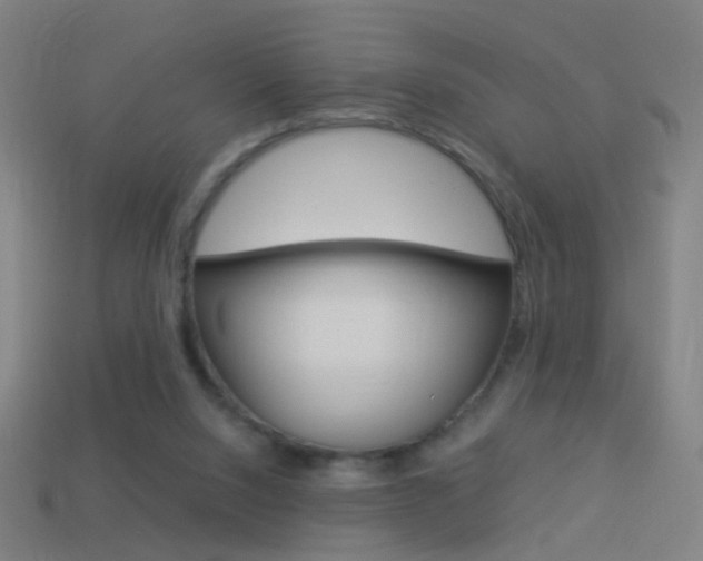 X0000114520064200910190958