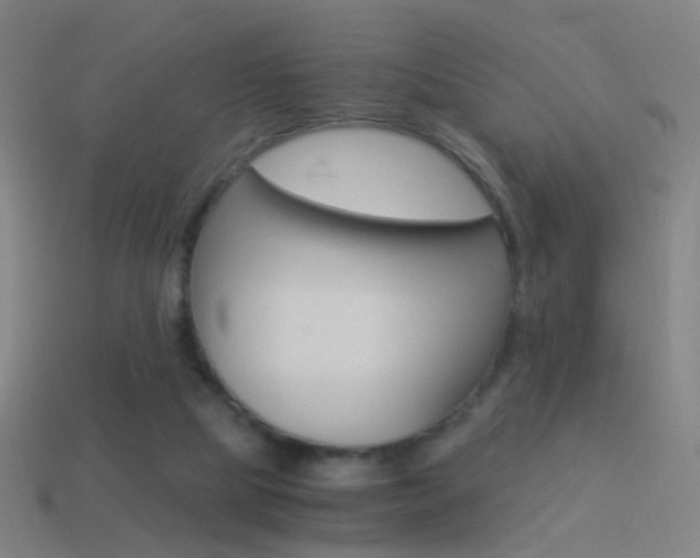 X0000114520065200910190958