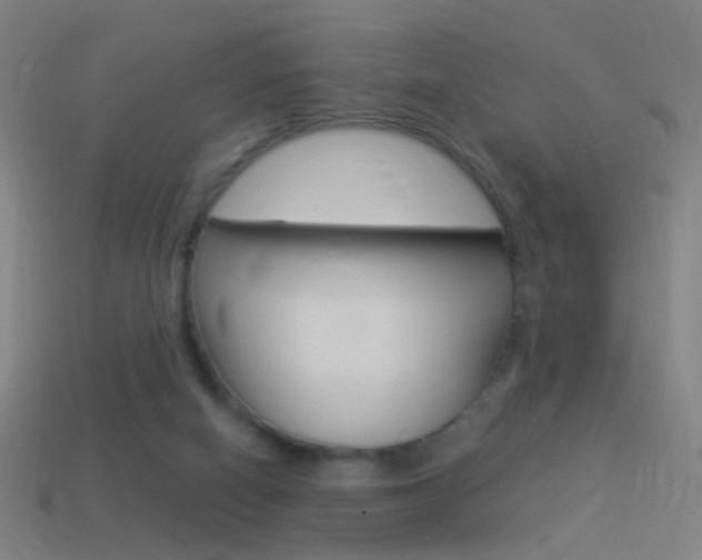 X0000114520066200910190958