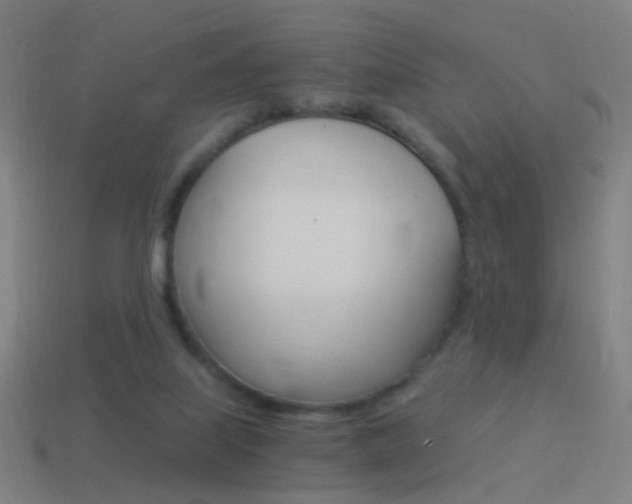 X0000114520067200910190958