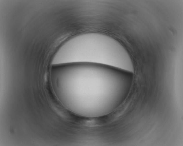 X0000114520068200910190958