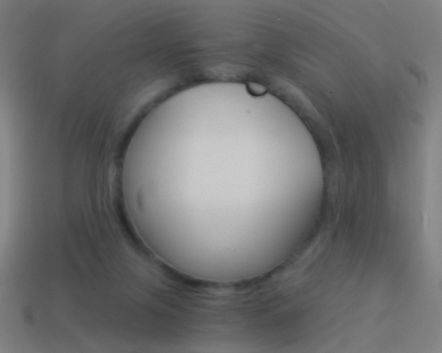 X0000114520071200910190958