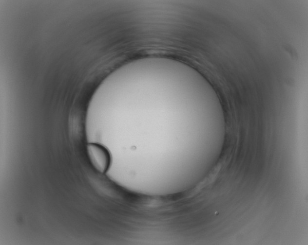 X0000114520074200910190958