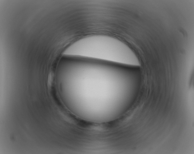 X0000114520076200910190958