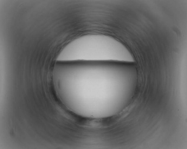 X0000114520078200910190958