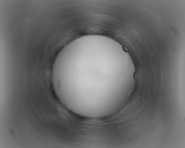 X0000114520079200910190958