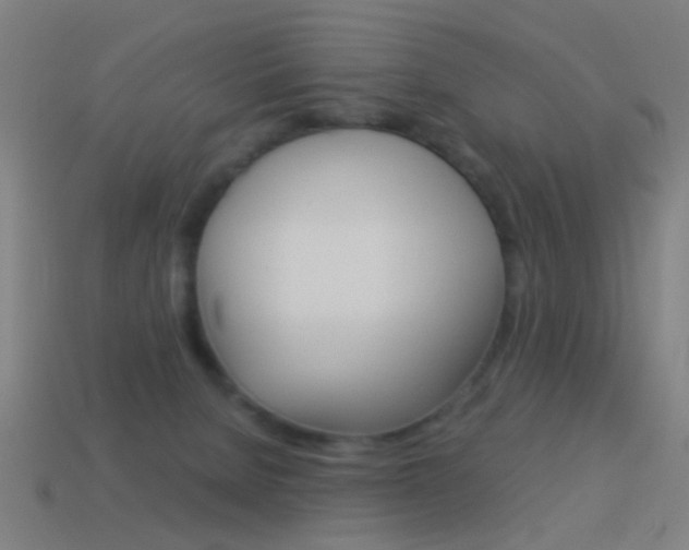 X0000114520080200910190958