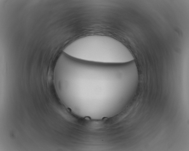 X0000114520081200910190958