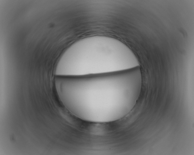 X0000114520082200910190958