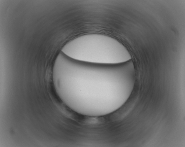 X0000114520083200910190958