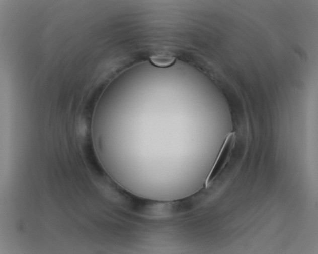 X0000114520084200910190958