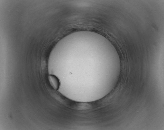 X0000114520087200910190958