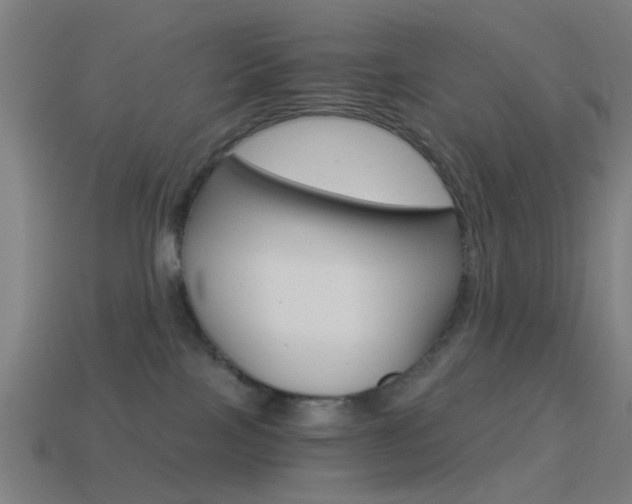 X0000114520089200910190958