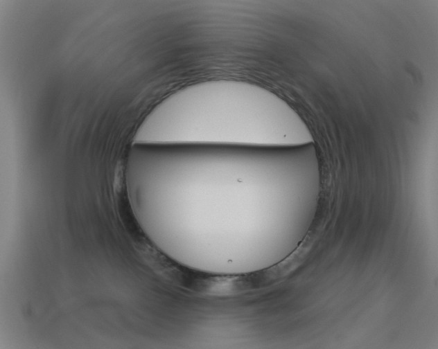 X0000114520090200910190958