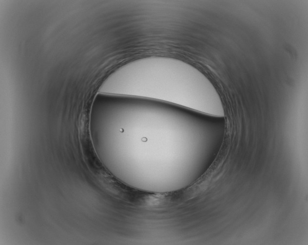 X0000114520092200910190958