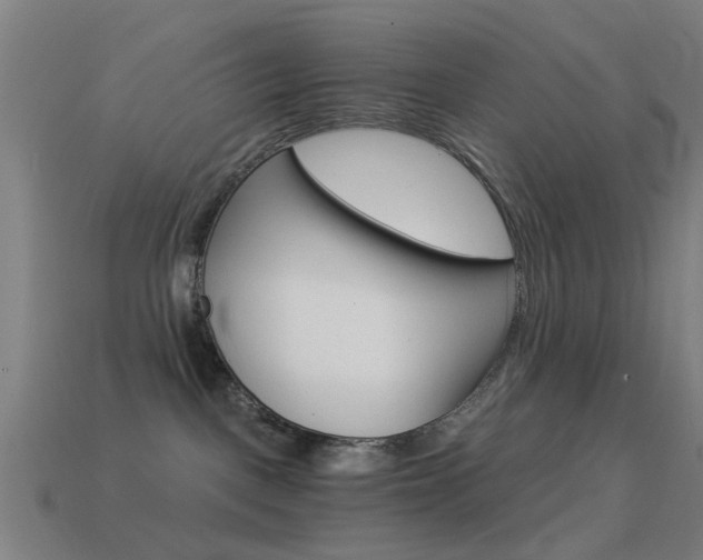 X0000114520093200910190958