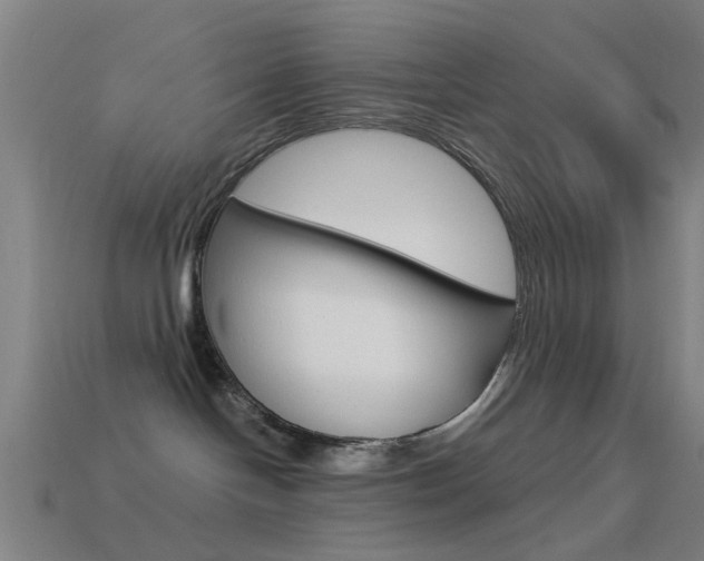 X0000114520094200910190958