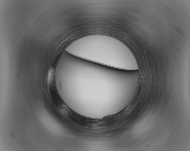 X0000114520095200910190958