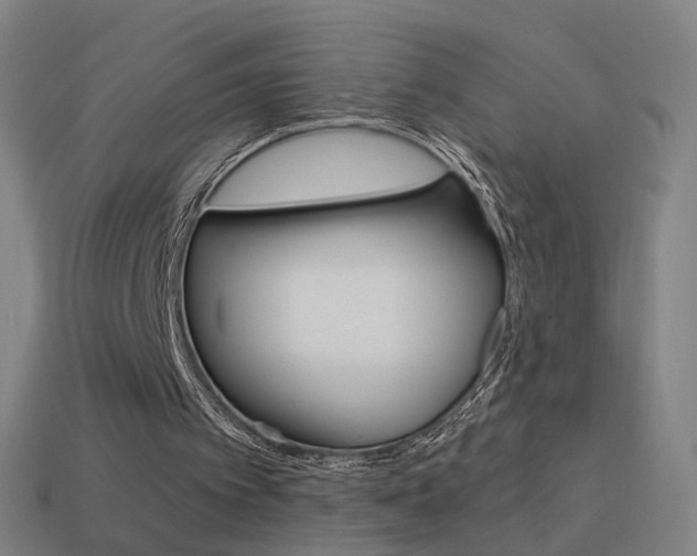 X0000114520097200910190958