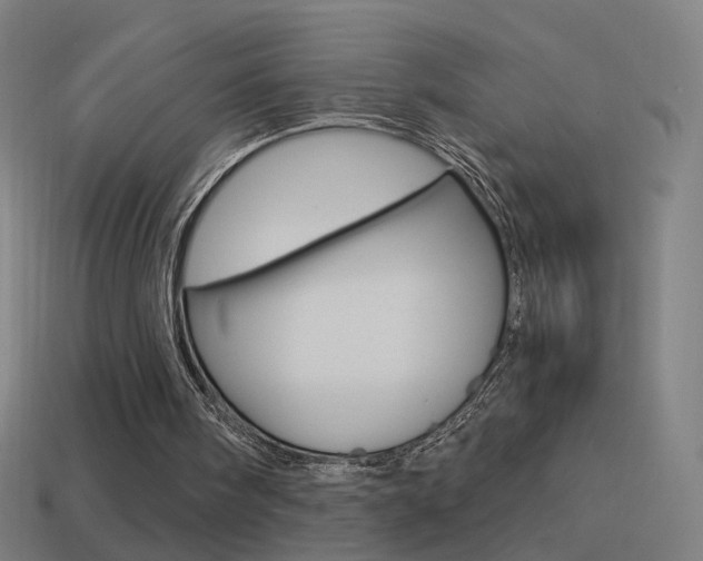 X0000114520098200910190958