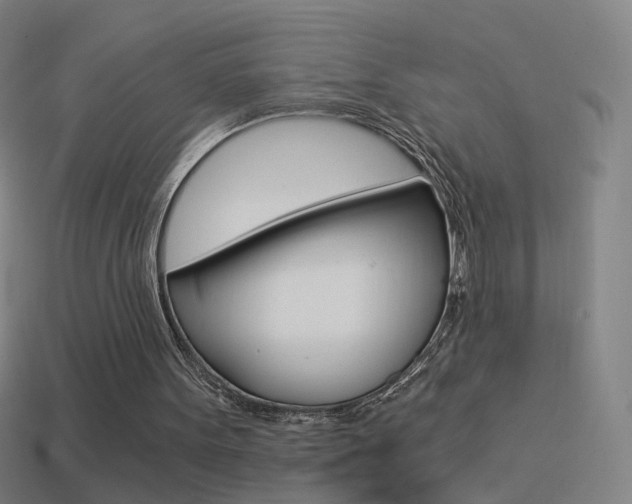 X0000114520099200910190958