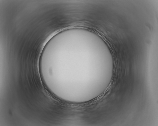 X0000114520100200910190958
