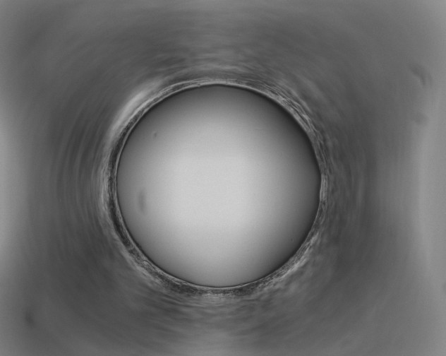 X0000114520101200910190958