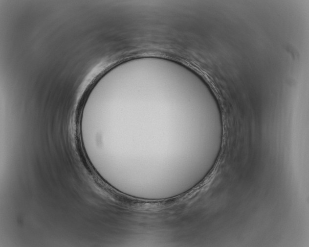 X0000114520102200910190958