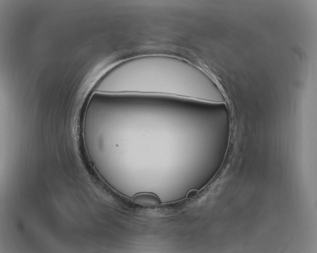 X0000114520103200910190958