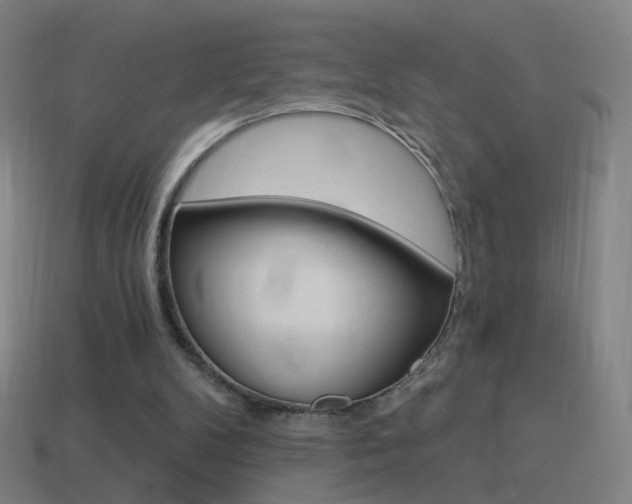 X0000114520104200910190958