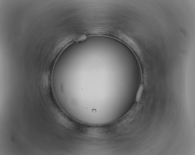X0000114520105200910190958