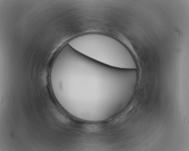 X0000114520106200910190958