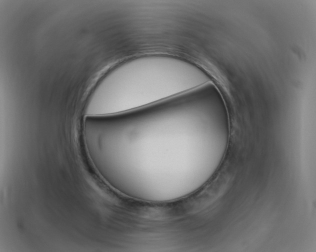 X0000114520107200910190958