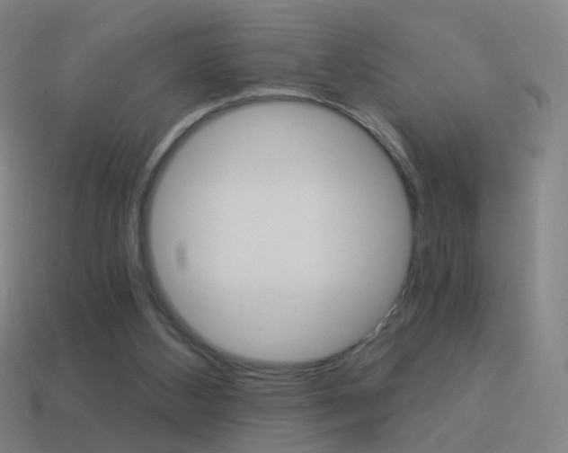 X0000114520108200910190958