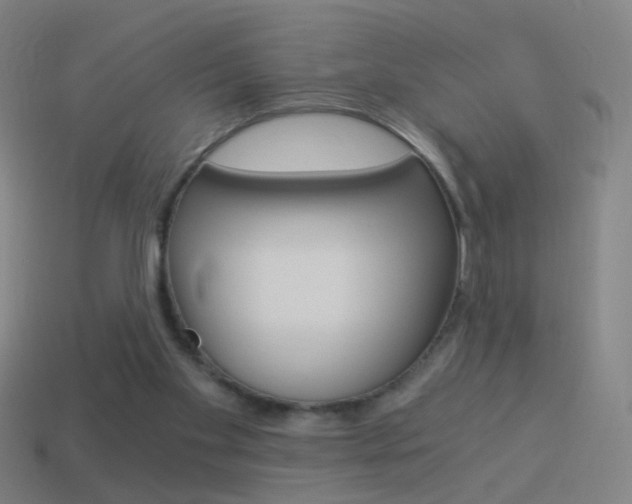X0000114520109200910190958