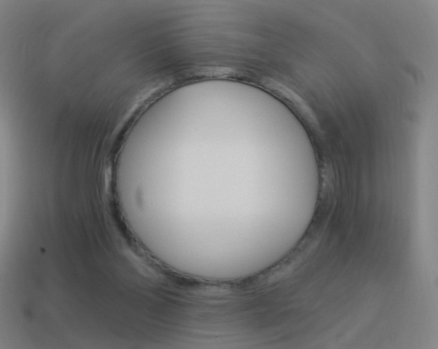 X0000114520110200910190958