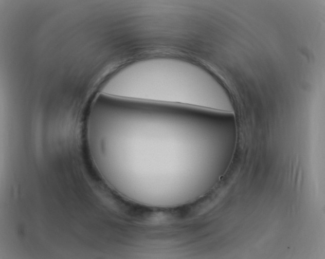 X0000114520111200910190958