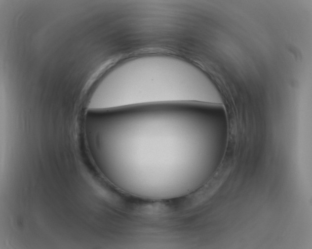 X0000114520112200910190958