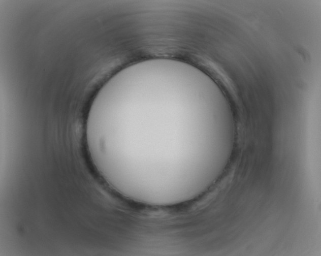 X0000114520113200910190958