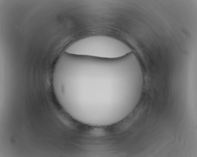 X0000114520114200910190958