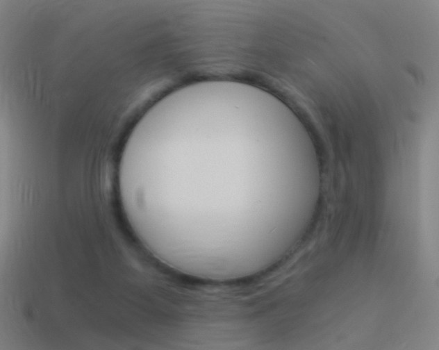 X0000114520115200910190958