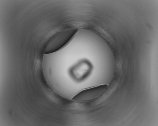 X0000114520117200910190958